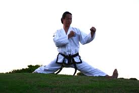 Taekwondo at the 2020 summer olympics in tokyo will feature 128 taekwondo fighters competing in eight weight categories; 75 Taekwondo Quotes To Motivate Your Martial Arts By Kidadl