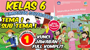 Tematik Kelas 6 Tema 1 Selamatkan Makhluk Hidup Sub Tema 1 Pembelajaran 6 Youtube