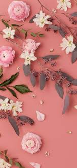 اجمل خلفيات ايفون 6 Iphone Wallpapers 4k T Tecnologis Floral Wallpaper Phone Floral Wallpaper Iphone Pink Flowers Wallpaper