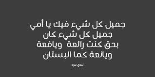 قصائد عن الام المتوفية ليدي بيرد