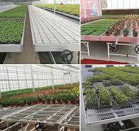Hydroponic Nursery Bed Galvanized Welded Wire Mesh Steel Seedbed Greenhouse  Bench Mesh Rolling Bench Nursery Growing Tables