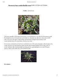 Image result for Stenostelma