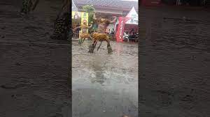 Siswa di universitas tidar magelang jawa tengah, indonesia. Dayatama Magelang Jawa Tengah Promo Best Deals The Hutama Magelang Berikut Adalah Daftar Kodepos Kecamatan Magelang Tengah Kabupaten Kota Magelang Propinsi Jawa Tengah Keiko Rusin