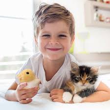 Dianli Clearance Drawstring Twisting Tail Hamster Plush Toy Cute Clockwork  Will Its Tail for indoor/Outdoor