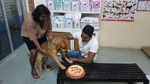 Halo sahabat selamat datang di website klinik24jam.tech , pada kesempatan hari ini kita akan membahas seputar bisakah wanita orgasme hanya dengan merangsang payudara? Nilai Best Veterinarian Nilai Petbacker Klinik Haiwan Dan Surgeri Merci At Nilai