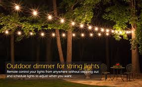 Adust 1000w 110v Light String Remote Plug In Dimmer Ac 110v 1000w Outdoor String Lights Bulbs Switch Wireless Remote Control Dimmer 3 Prong Outlet Timer Switch Waterproof Ip 65 Amazon Com