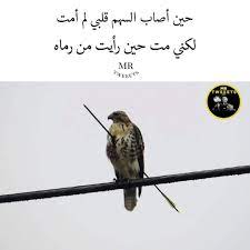 مستر تويتس 1 kuwait on instagram mr tweeets beautiful arabic words short happy quotes arabic quotes