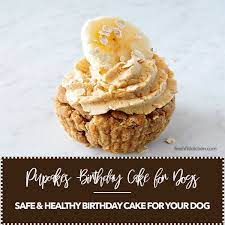 Pupcakes Birthday Cake For Dogs Fresh Fit Kitchen Recipe Dog Cake Recipes Dog Safe Cake Recipe Dog Cakes