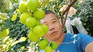 FLORIDABLANCA NEWS AND CURRENT EVENTS.