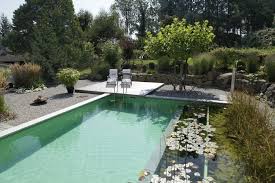 Der teich im garten als gestaltungselement. 9 Mythen Uber Den Naturnahen Bio Schwimmteich Im Garten