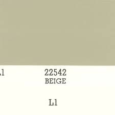 Image result for Beige 1969 Dodge