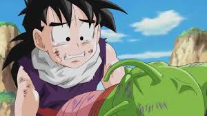 Why Didn'T King Piccolo Regenerate After Being Impaled By Goku? - Quora