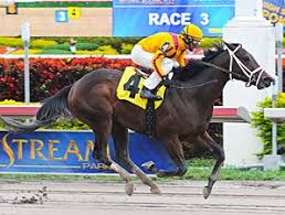 Gulfstream Park Fl Horses In Memory Of Dad Horse Racing