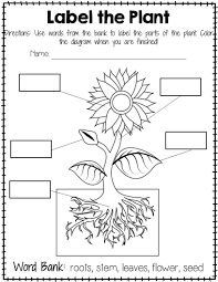 Freebie Plant Labeling Worksheet Freebie Teach Your Students About The Different Parts Of A Plant W Plants Worksheets Plants Kindergarten Parts Of A Flower