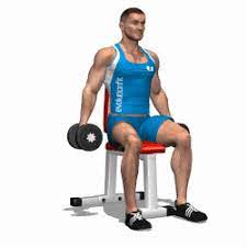 Dumbbell lateral to front raise $3.60. Gif Animation Seated Dumbbell Lateral Raise Bodybuilding Wizard
