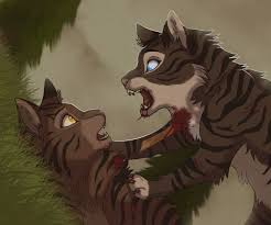 Hawkfrost And Brambleclaw Warrior Cats Comics Warrior Cats Fan Art Warrior Cats Books