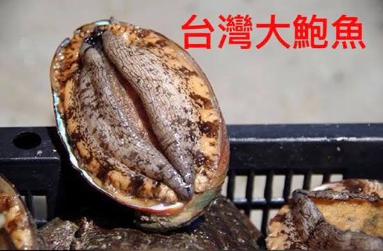 [圖]