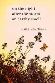 Michael Mcclintock Poetry Haiku Poetry Haiku Poems Poetry Day