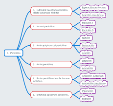 Antibiotic Classification Pharmacology Nursing Pharmacology Antibiotics Pharmacology