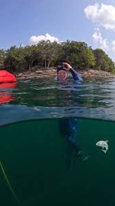 I didn’t see any sharks 🤣