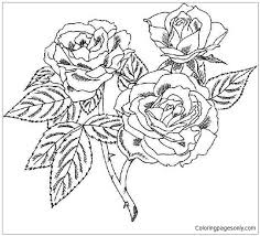 Beautiful rose coloring pages for adults. Beautiful Rose Coloring Pages Mandala Coloring Pages Coloring Pages For Kids And Adults