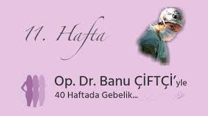 op dr banu ciftci yle 40 haftada gebelik 11 hafta youtube varis youtube ciftci