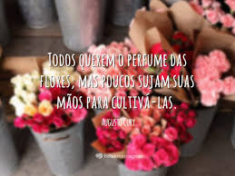 Toda semana publicamos frases célebres sobre meio ambiente. Frases Sobre Meio Ambiente Belas Mensagens