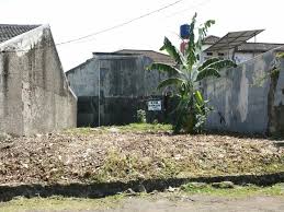 Check spelling or type a new query. Doa Agar Tanah Cepat Laku Dengan Untung Besar Nursalamah Com