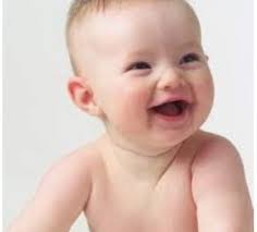 النبيلُ المستحيل .. للشاعر نبيل ويزاني العاملي