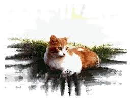 「http://macska.tv/node/ stress」的圖片搜尋結果