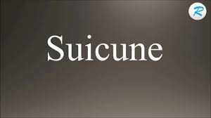 Commented mar 23, 2011 by darthdestiny. How To Pronounce Suicune Youtube
