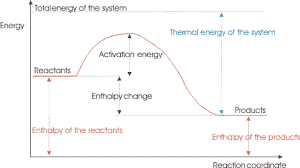 Ib Chemistry Notes On Kinetics