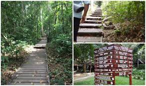 3 hrs 50 min please note that bus to taman negara includes boat service at tembeling jetty. Visit Taman Negara The World S Oldest Rainforest The Travel Ninjas
