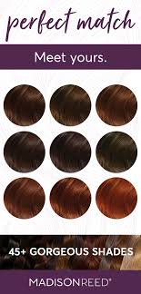 Take The Color Quiz To Find Your Perfect Hair Color Shade Chocolate Brown Hair Color Amaretto Re Perfect Hair Color Madison Reed Hair Color Hair Color Shades