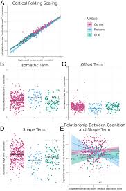 Cortical scaling of the neonatal brain in typical and altered development |  PNAS