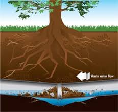 This can lead to clogs in your sewer line the typical causes of belly in sewer line systems. Blocked Drain Sewer Repair The Trenchless Co Plumbing