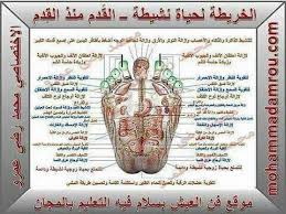 خريطة القدم Health Fitness Nutrition Fitness Nutrition Health
