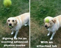 Learn everything you should pack in your car in case disaster strikes while you're away from home. Dog Hit With Tennis Ball Memetemplatesofficial
