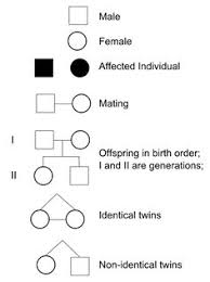 14 Best Genetics Images In 2017 Genetics Medicine Ap Biology