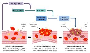 Clotting Bioninja
