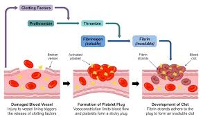 Clotting Bioninja