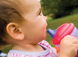 WIC Participation Patterns