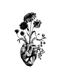 Simply, drawing a heart by two simple pencil lines would look very lonely. Heart Drawing Anatomical