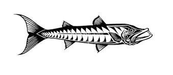 Coloring pages sea fish will open up a huge and interesting underwater world for little artists. Great Barracuda Fish Coloring Pages Best Place To Color Fish Coloring Page Coloring Pages Coloring Pictures