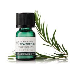 Tea Tree Oil The Body Shop Cyprus