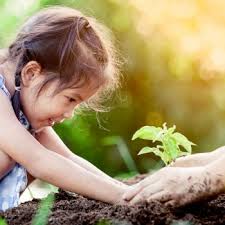 Estas permitem a criação de estruturas para o tratamento adequado das políticas ambientais e econômicas nos países membros da onu. Meio Ambiente