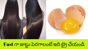 Similarly, benefits of egg yolk for hair are also plentiful. Magical Egg Hair Mask For Hair Loss Hair Growth How To Use Egg For Silky And Bouncy Hair Telugu Youtube