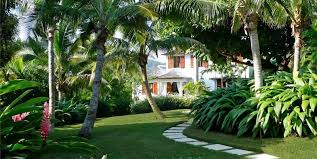 Florida Landscaping Ideas Landscaping Network