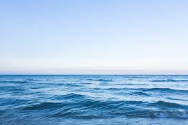 Image result for sea
