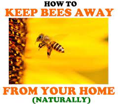 How to drive away beesshow all. How To Keep Bees Away From Your House Ultimate Guide Bugwiz